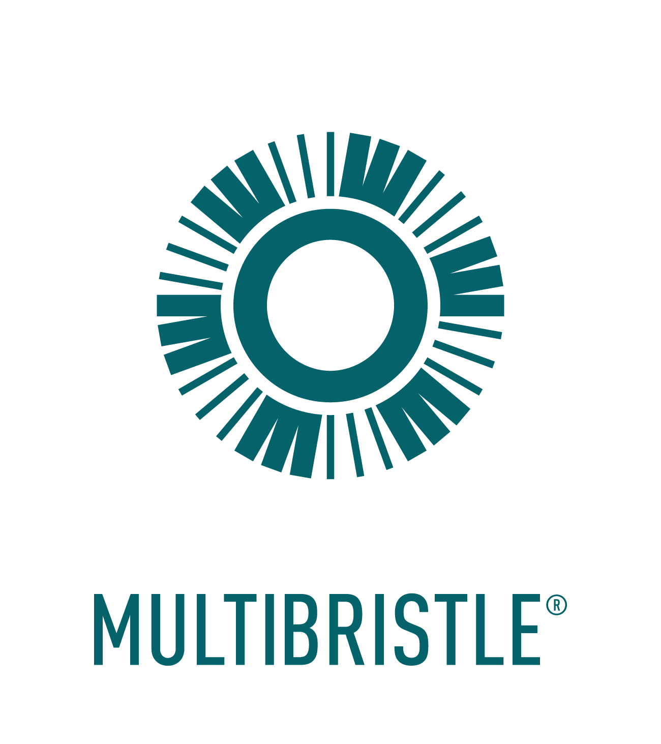Multibørste